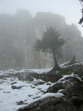 Usertreffen Brünnstein - Bericht des Treffen Teil III Gipfelsturm (243) - 2