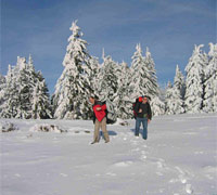 GPSDash - Der Aufstieg - 1