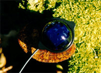 Royaltek RGM 2000 SiRF2 - Vorwort - 1