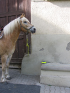 PDA Outdoor-Gehäuse ARMOR 1 - Der Einsatz im Gelände (2175) - 1