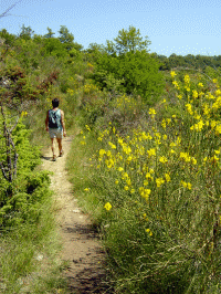 Haicom: 303III/305III/405BT/(401BT) - Einsatz Outdoor - 1