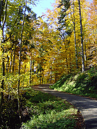 Static Navigation (SN) - Fluch oder Segen? - Was ist SN, wie wirkt sich das aus? (3970) - 1