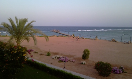 HTC HD2 (Leo): Ein Raubtier setzt Maßstäbe - Kamera - 1