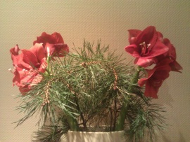 HTC 7 Trophy: Eine Trophäe für Gamer -
Kamera - 2