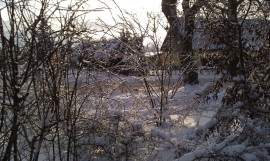 HTC Desire HD (Ace): Objekt der Begierde - 
Kamera - 1