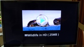 LG P990 Optimus Speed der Preis-/Leistungs-Champion - Media-Player, Multimediasoftware und Klangverbesserungen - 1