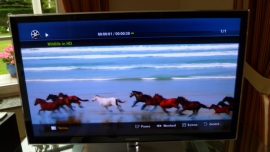 LG P990 Optimus Speed der Preis-/Leistungs-Champion - Media-Player, Multimediasoftware und Klangverbesserungen - 2