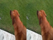 LG P920 Optimus 3D - das Raumwunder - 
Kamera II - 3