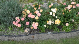 3D-Mania - LG Optimus 3D vs. HTC Evo 3D -  Kamera - 1