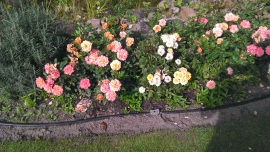 3D-Mania - LG Optimus 3D vs. HTC Evo 3D -  Kamera - 2