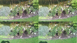 3D-Mania - LG Optimus 3D vs. HTC Evo 3D - Kamera IV - 1