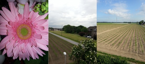 Samsung Galaxy S3 - Aufgenommen von Mathias