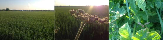 iPhone 4s- Aufgenommen von Mathias