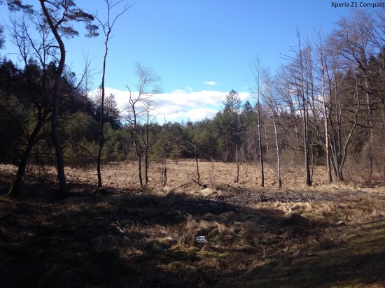 Bildsample_Z1Compact