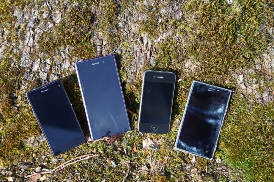 (copyright: Sebastian Abel)