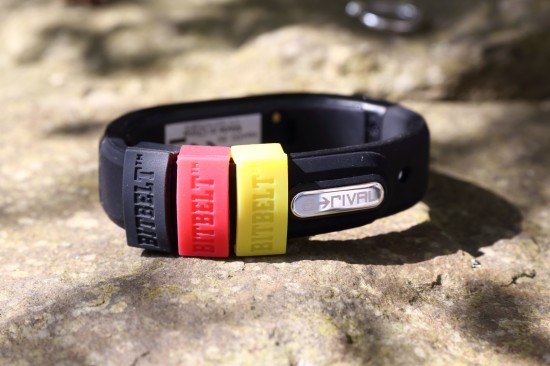 bitbelt_arival_flaggeJPG