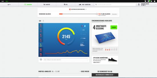 Nike Plus Dashboard